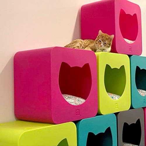 קיטי קאסאס דורו סדרת חתול בית, שינה קוביית, ורוד