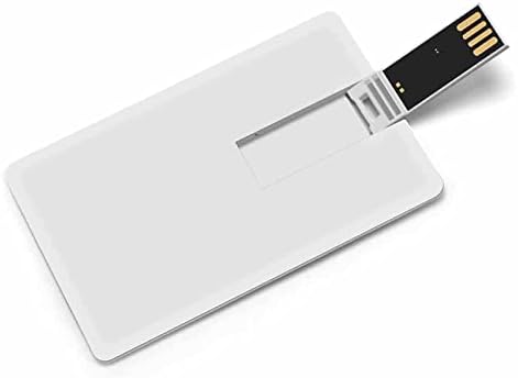 דינוזאור וכרטיס אשראי אופניים USB פלאש כונני מזיכרון בהתאמה אישית מתנות תאגידיות מפתח ומנות קידום מכירות 32 גרם