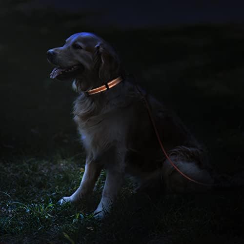צווארון כלבים רפלקטיבי וצווארון שרשרת מרטינגייל - צרור לילד כלב בינוני, ילדה או גור - כושר צוואר 14-18 אינץ