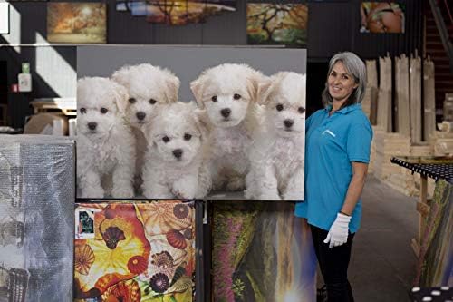 אמנות קיר בד סטארט-לילה-גורי בישון, תמונה מצחיקה חמודה כלבים תמונה לחדר ילדים ממוסגר גדול 32 על 48 אינץ