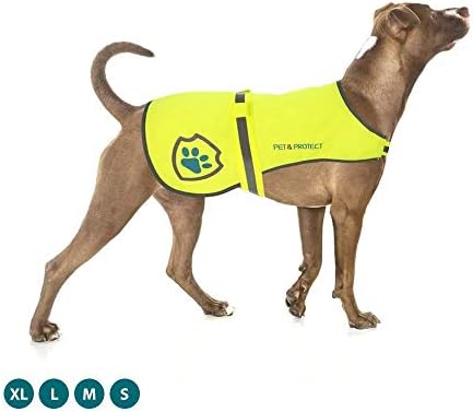 מעיל כלבים רפלקטיבי לבטיחות-אפוד כלבים אידיאלי למראות גבוהה בעת הליכה, ריצה או אימונים-גדלים כך שיתאימו לגזעים קטנים, בינוניים, גדולים 16-130 קילוגרמים