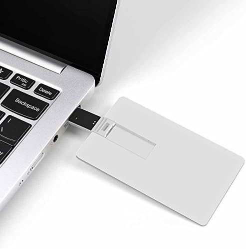 כרטיס אשראי אמריקאי ומדינת הוואי כרטיס בנק אשראי USB כונן פלאש זיכרון נייד כונן אחסון מפתח 64 גרם