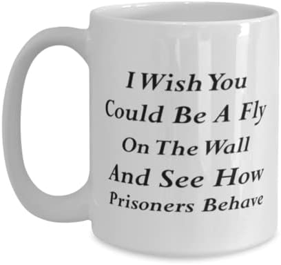 ספל קצין כליאה, הלוואי שהיית יכול להיות זבוב על הקיר ולראות איך אסירים מתנהגים, רעיונות מתנה ייחודיים לחידוש לקצין כליאה, ספל קפה כוס תה לבן 15 עוז.